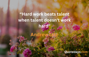 Andrew Tate quotes