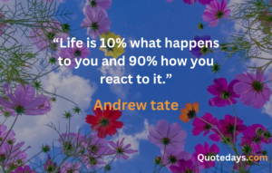 Andrew Tate quotes