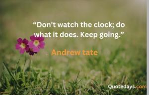 Andrew Tate quotes