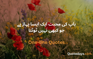 one-line quotes