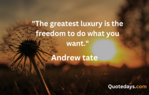 Andrew Tate quotes