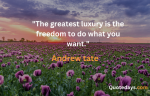 Andrew Tate quotes