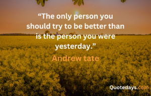 Andrew Tate quotes