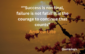 Andrew Tate quotes