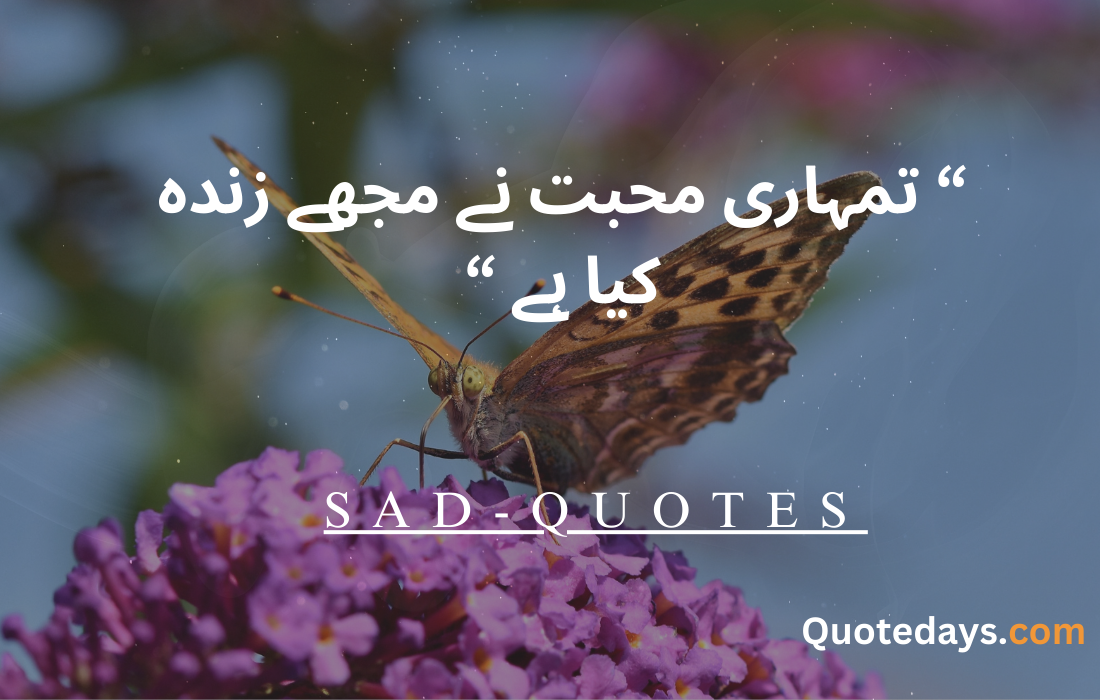 SAD Quotes 