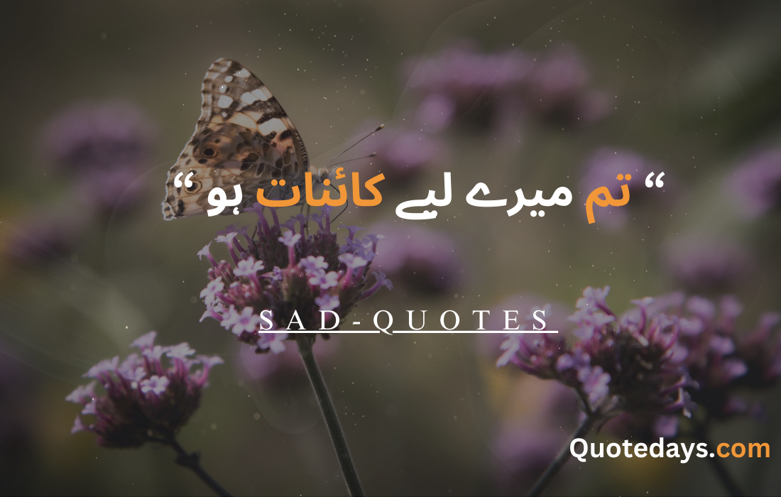 SAD Quotes 