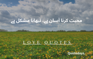 love quotes