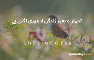 love quotes